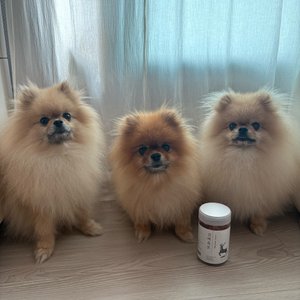 베스트 후기 이미지
