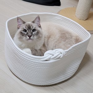 베스트 후기 이미지