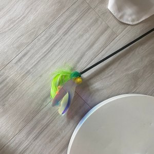베스트 후기 이미지