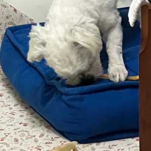 베스트 후기 이미지