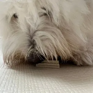 베스트 후기 이미지