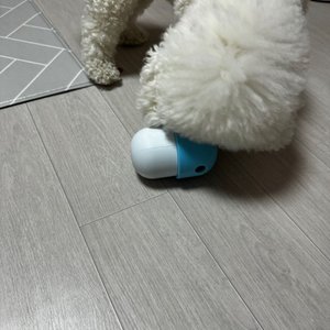 베스트 후기 이미지