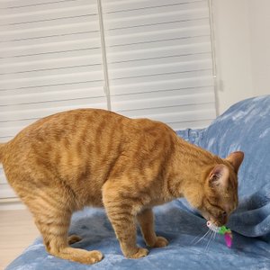 베스트 후기 이미지