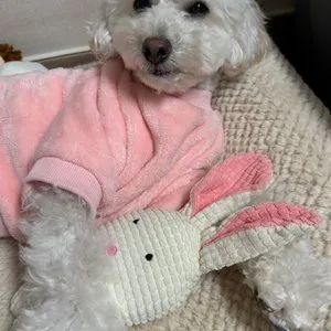 베스트 후기 이미지