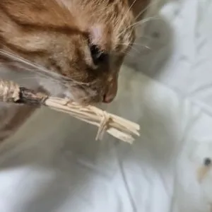 베스트 후기 이미지