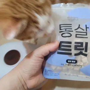 베스트 후기 이미지