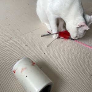 베스트 후기 이미지