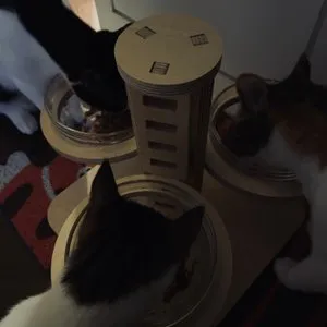 베스트 후기 이미지