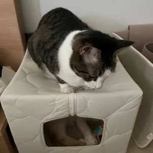 베스트 후기 이미지