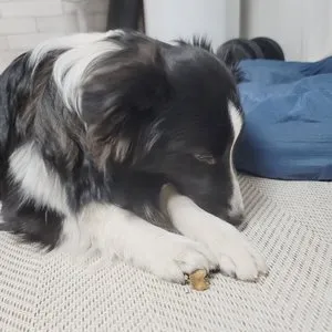 베스트 후기 이미지