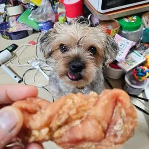 베스트 후기 이미지