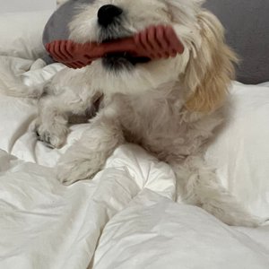 베스트 후기 이미지