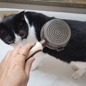 베스트 후기 이미지
