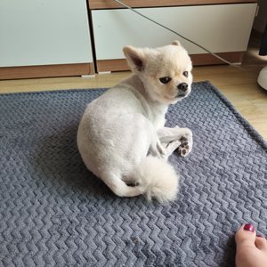 베스트 후기 이미지