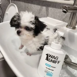 베스트 후기 이미지