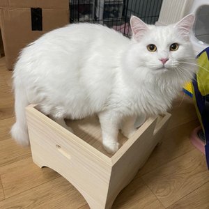 베스트 후기 이미지