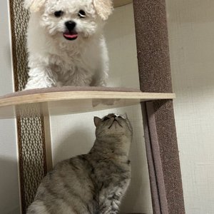 베스트 후기 이미지