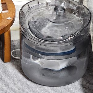 베스트 후기 이미지