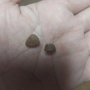 [NEW신상]오븐베이크 캣 신선한 피쉬 어덜트 레시피 4.54kg 베스트 후기 이미지