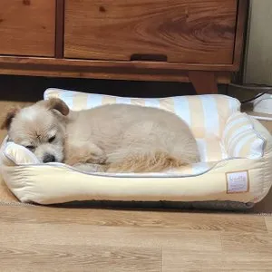 베스트 후기 이미지