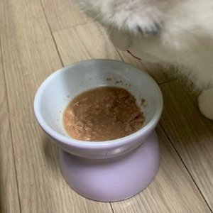 베스트 후기 이미지