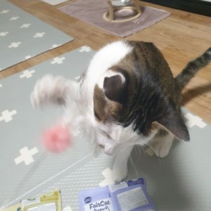베스트 후기 이미지