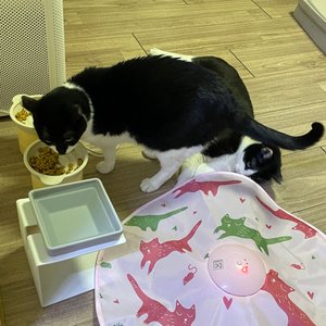 베스트 후기 이미지