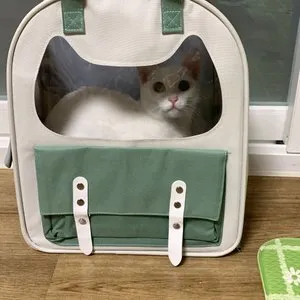 베스트 후기 이미지