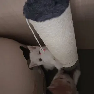 베스트 후기 이미지