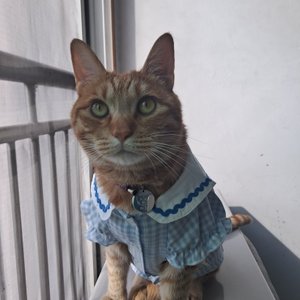 베스트 후기 이미지