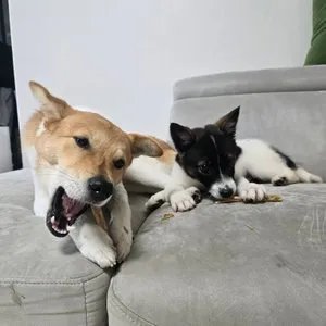 베스트 후기 이미지