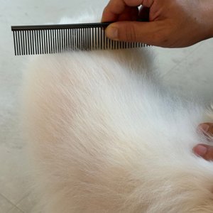 베스트 후기 이미지