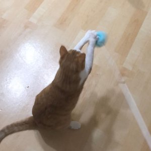 베스트 후기 이미지