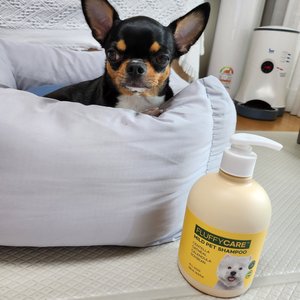 베스트 후기 이미지