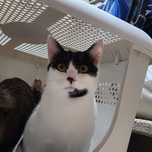 베스트 후기 이미지