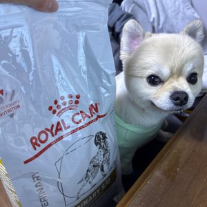 베스트 후기 이미지