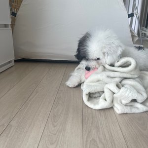 베스트 후기 이미지