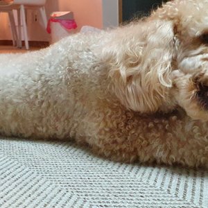 베스트 후기 이미지