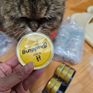 베스트 후기 이미지