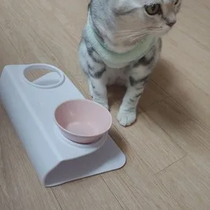 베스트 후기 이미지