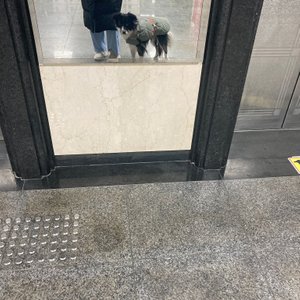 베스트 후기 이미지