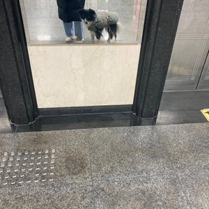 [무료배송] 분독 플레이리쉬 3m20cm 롱리드줄 레드 S/L 베스트 후기 이미지