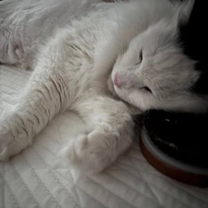 베스트 후기 이미지