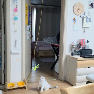 베스트 후기 이미지