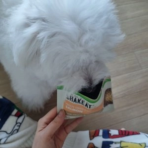 [사료샘플] 쉨잇 독 동결건조 연어와 프레시 치킨&살몬 키블 50g 베스트 후기 이미지