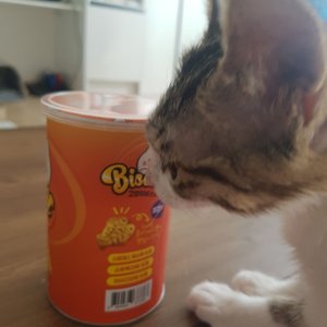 베스트 후기 이미지