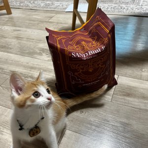 베스트 후기 이미지