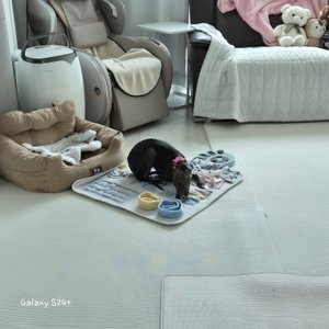 베스트 후기 이미지