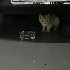 베스트 후기 이미지