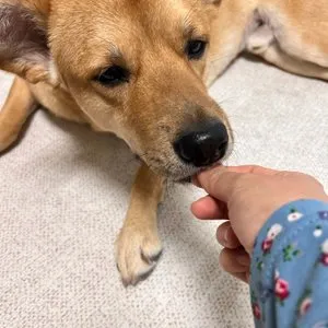 베스트 후기 이미지